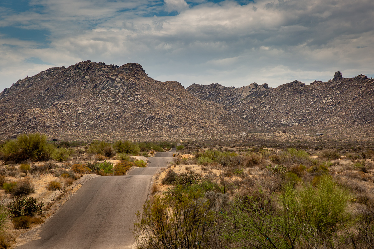 Desert Waves