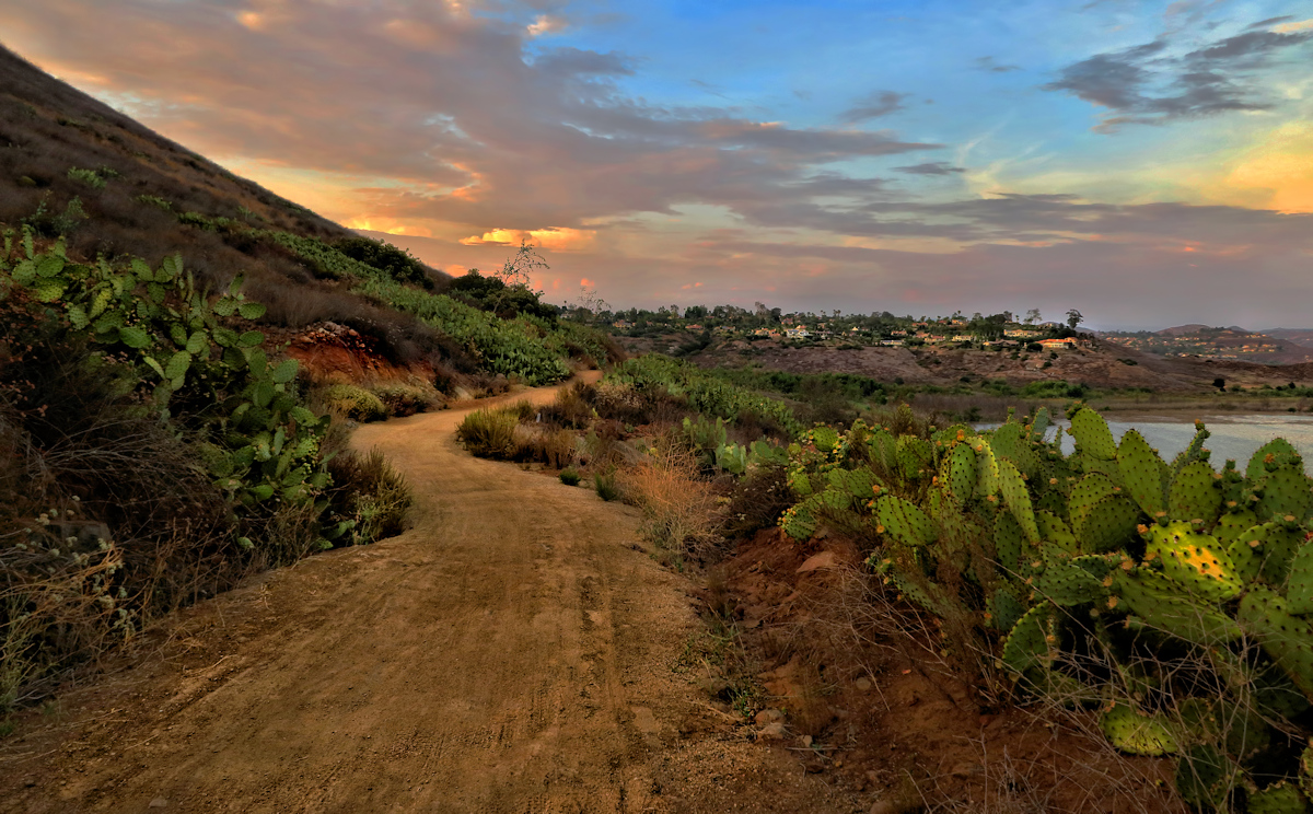 The Path Ahead