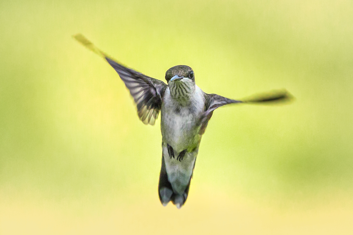 Mid-Dance