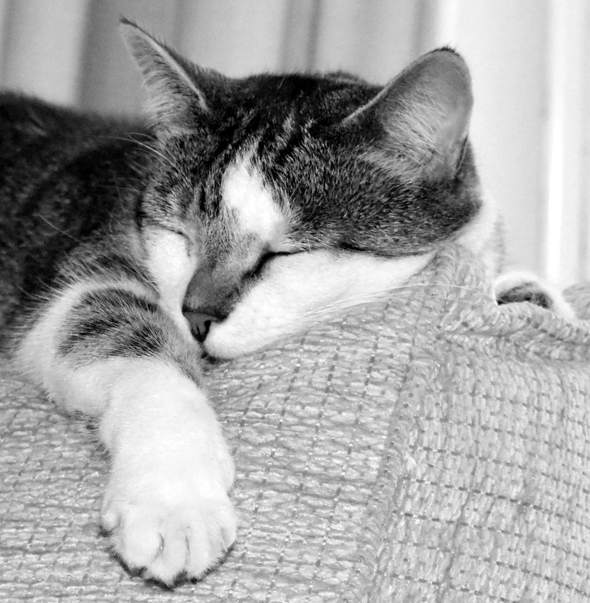Just resting my eyes