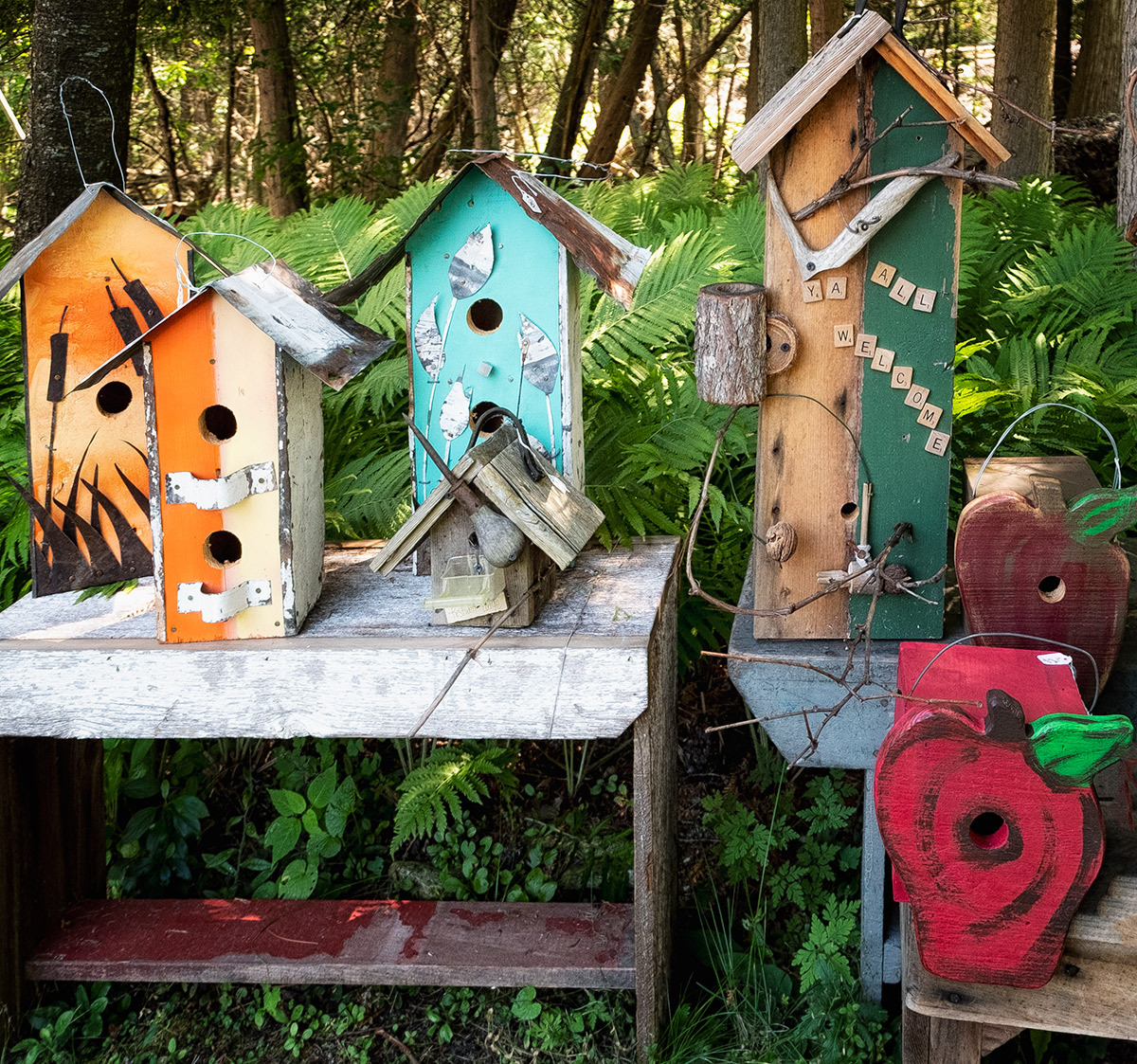 Avian abodes