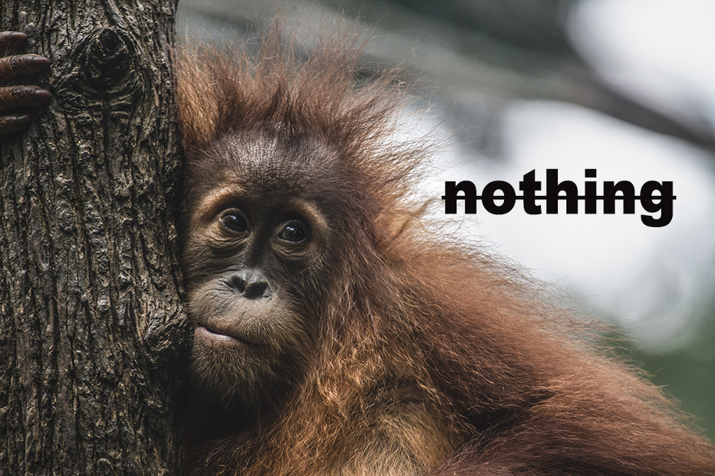 nothings