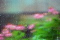Watercolours