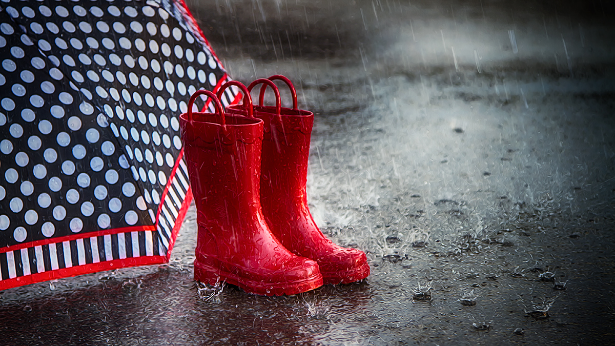 A Rainy Day Still Life