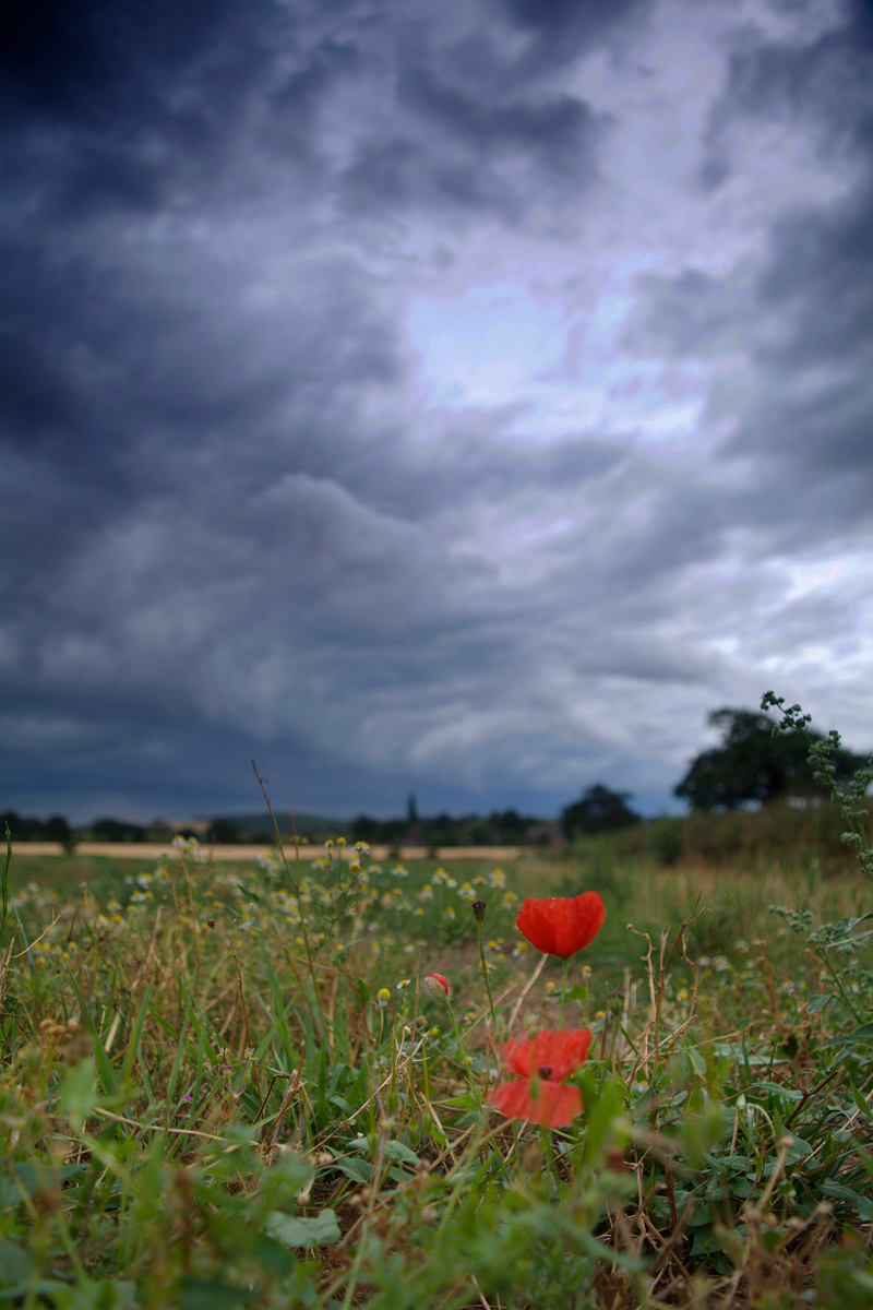 Storm Brewing