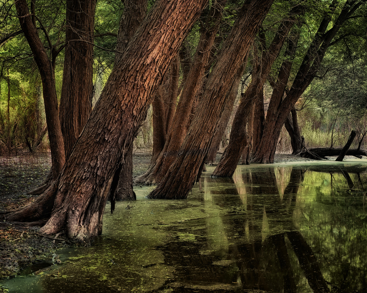 The Flood