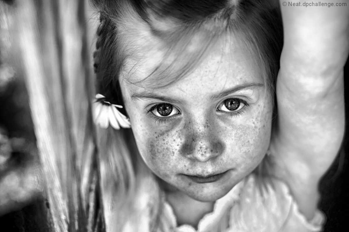 Girl at the window