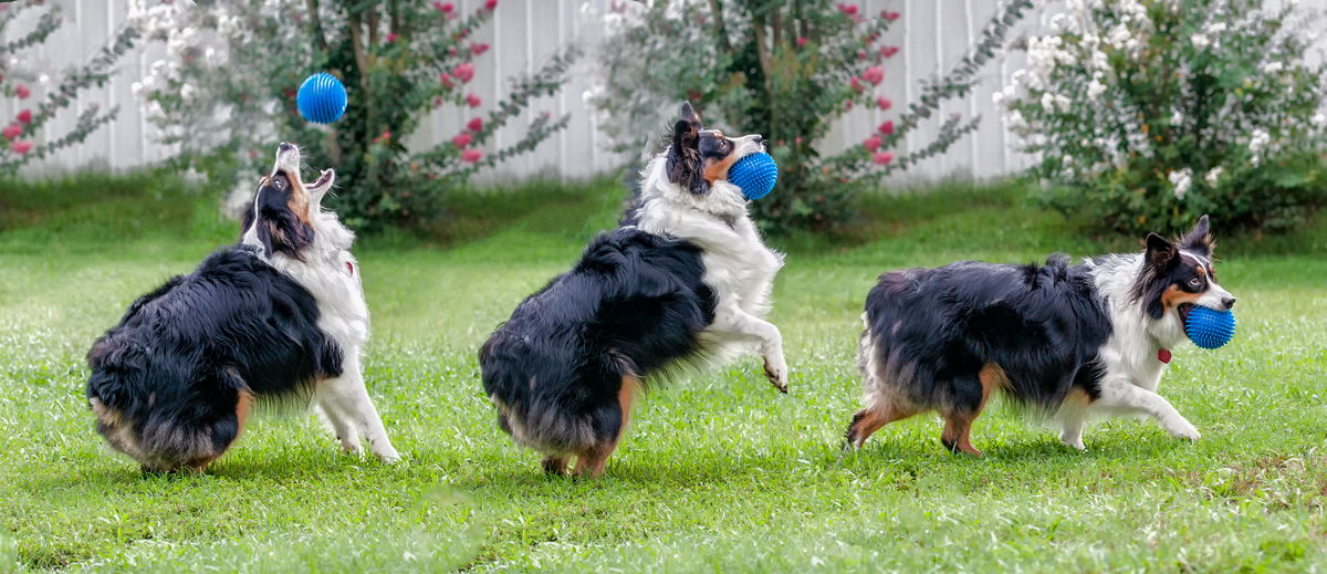 Playing Ball