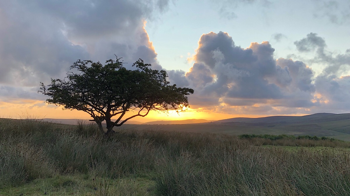 Sunrise on the moor