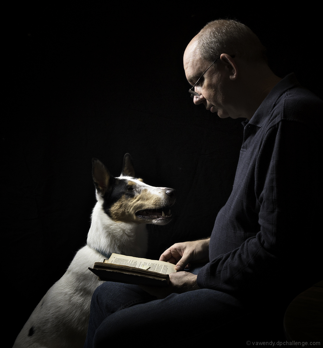 Bedtime Stories