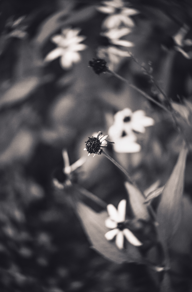 cyclical