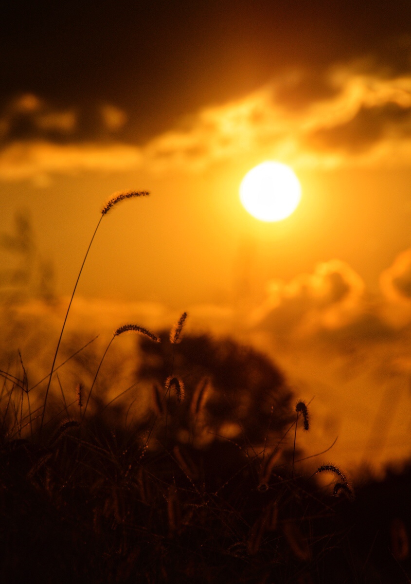 Summer's End