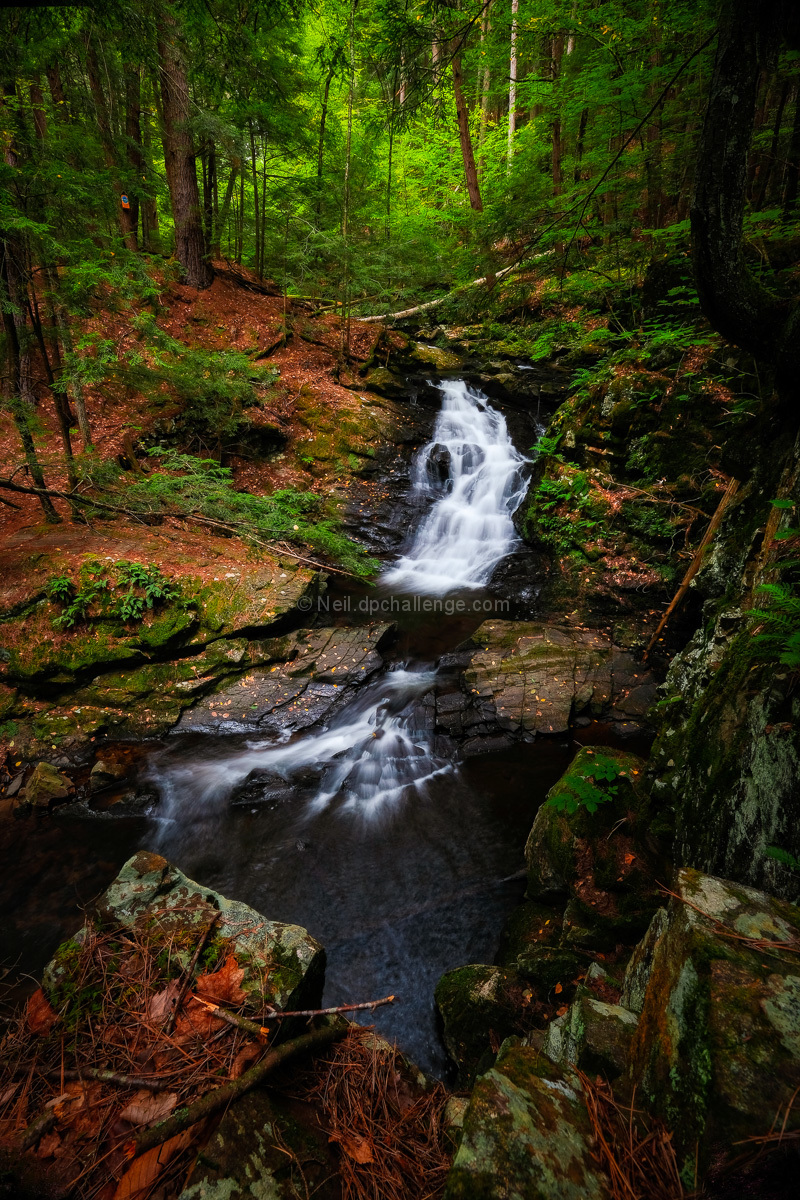 Just Before the Fall
