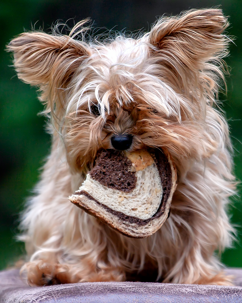 Swirl Bread, Yummy