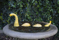 Our Local Loch Ness Monster