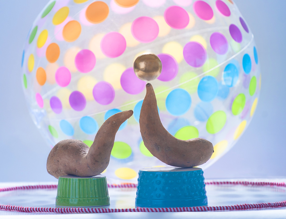 Sweet Circus Tricks