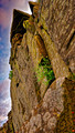 The Ridge