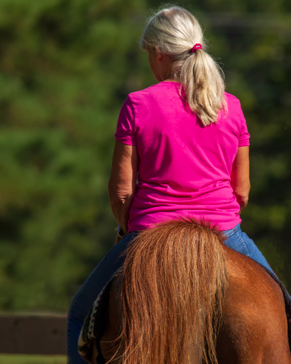 Pony Tails