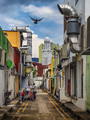 Back Alley
