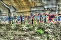 Overgrown Grafitti