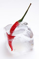 Hot & Cold 