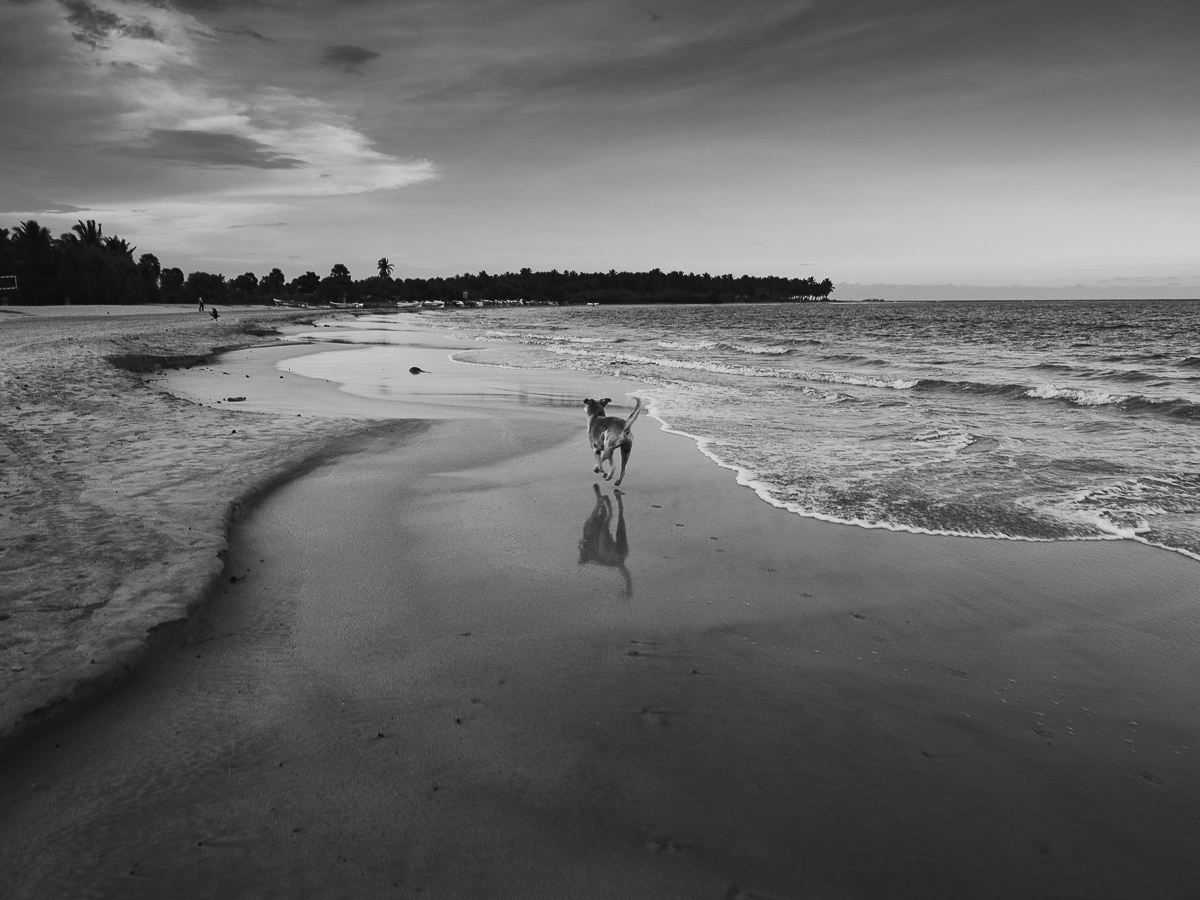 Pasikuda Beach