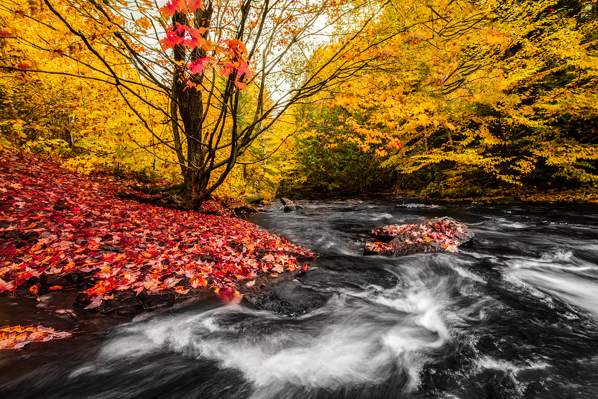 Madawaska River, Ontario