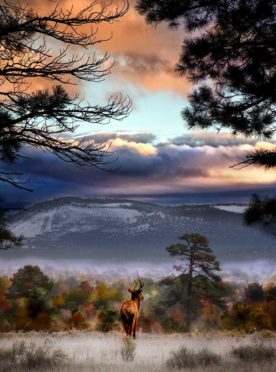 His Kingdom in Autumn Colours