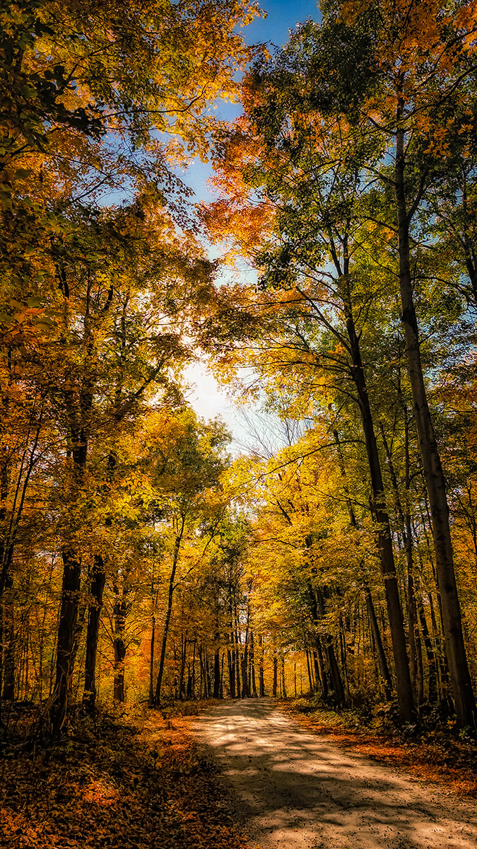 Adirondack Byway