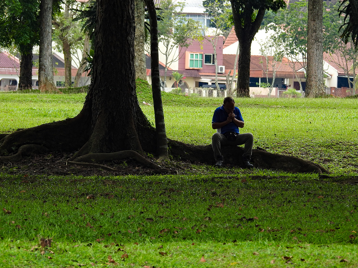 base of tree