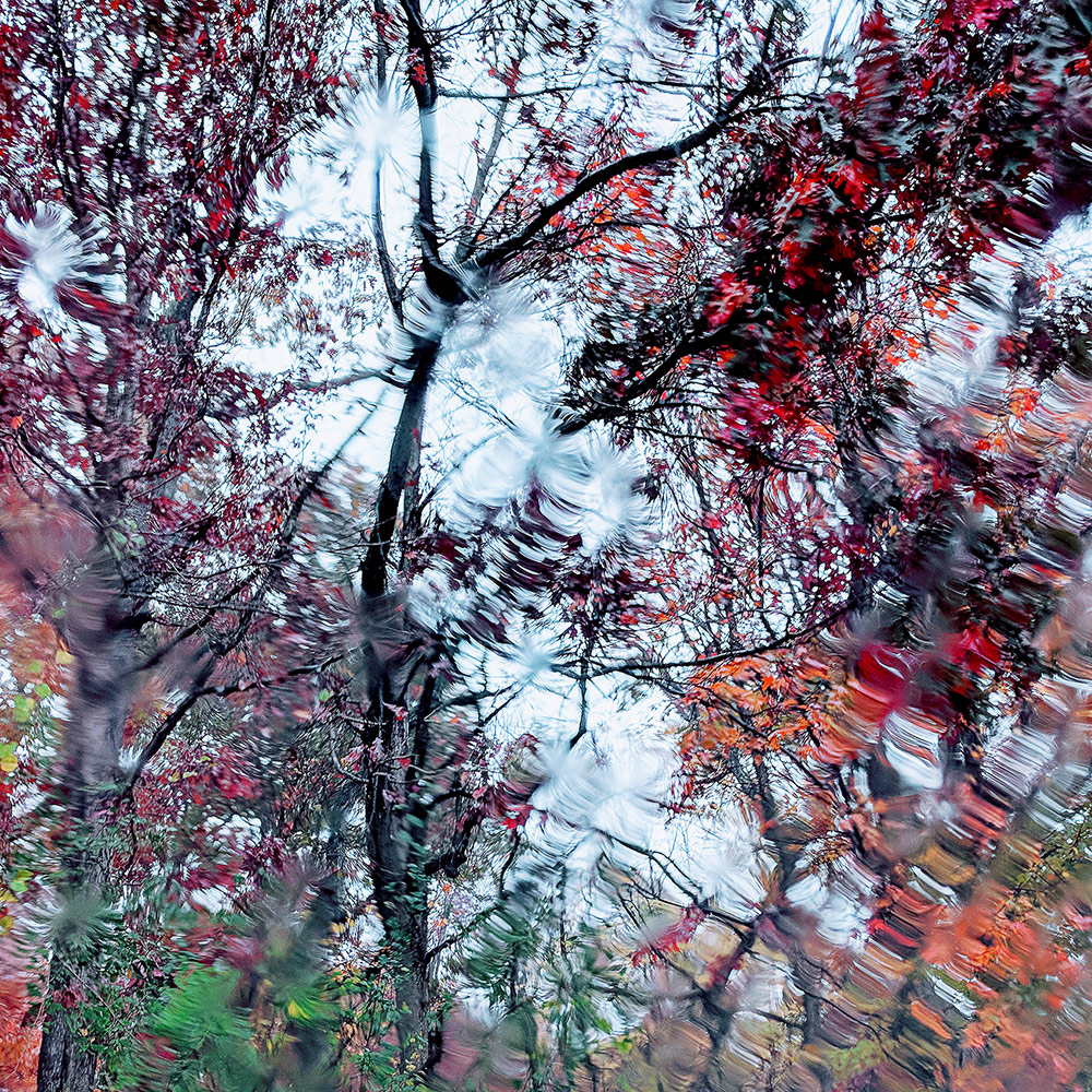 wayward rivulets in autumn flowing