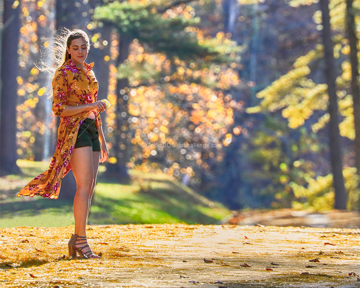 A Warm Autumn Day