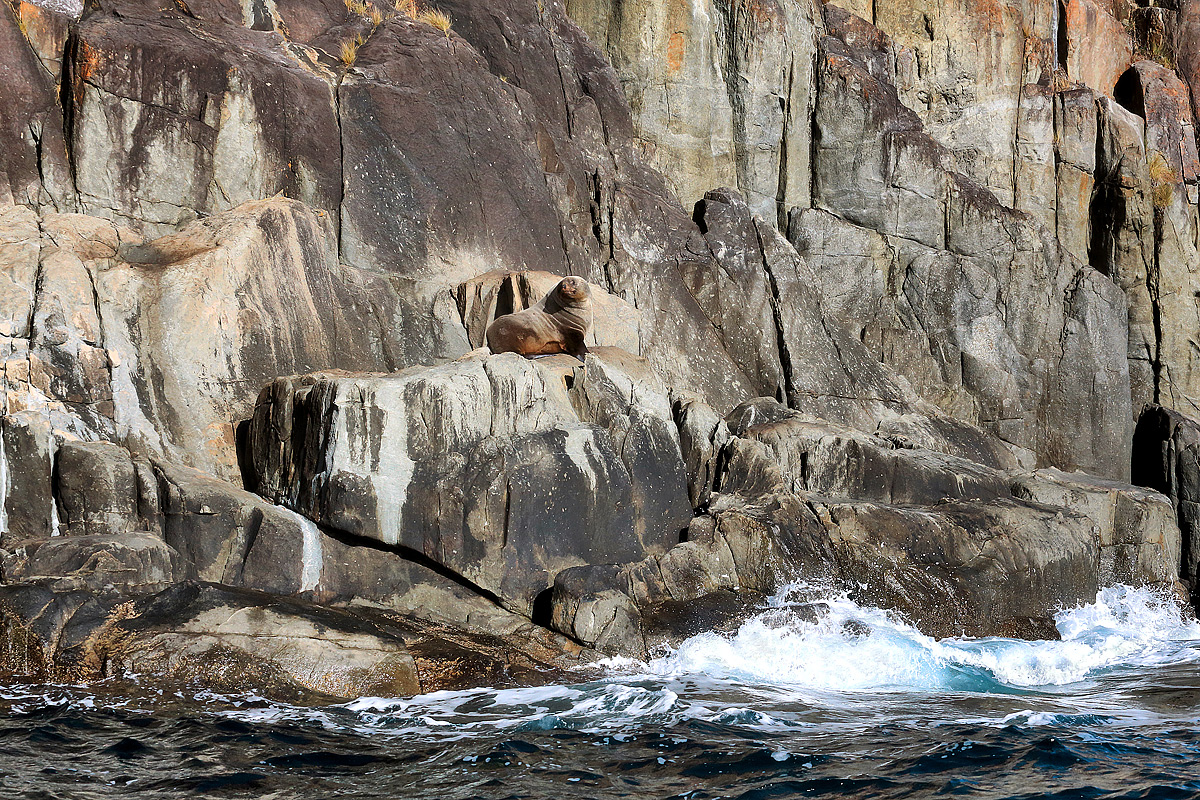 Natural Inhabitants