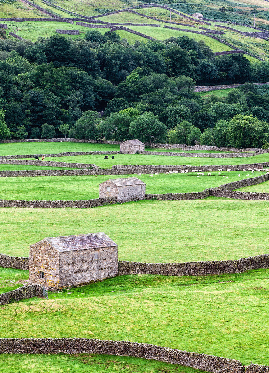 Dales Barns
