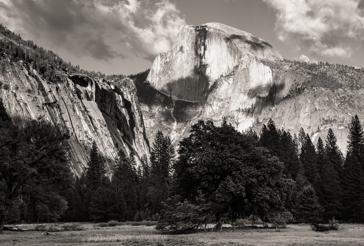 Half Dome Crop-2191