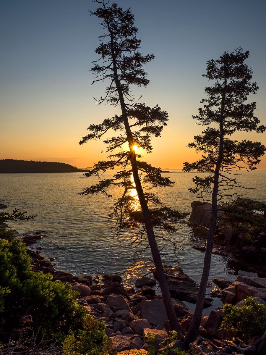 Acadia-Sunrise