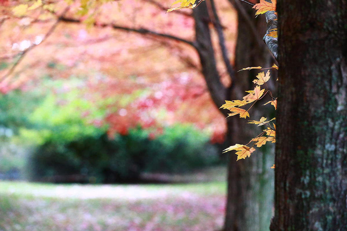 Colors are everywhere