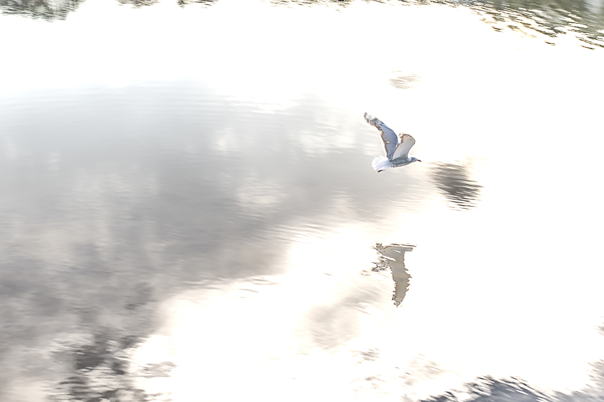 The Unbearable Lightness of Being