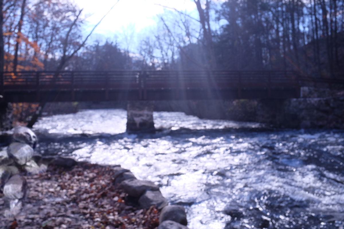 Troll Meets Bridge