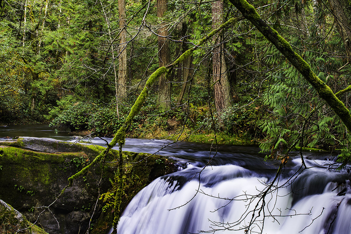 Edge of the Falls