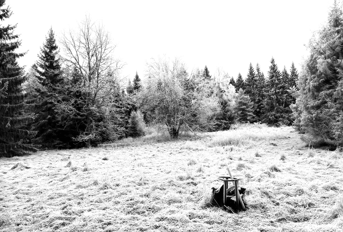 Winter Wonderland