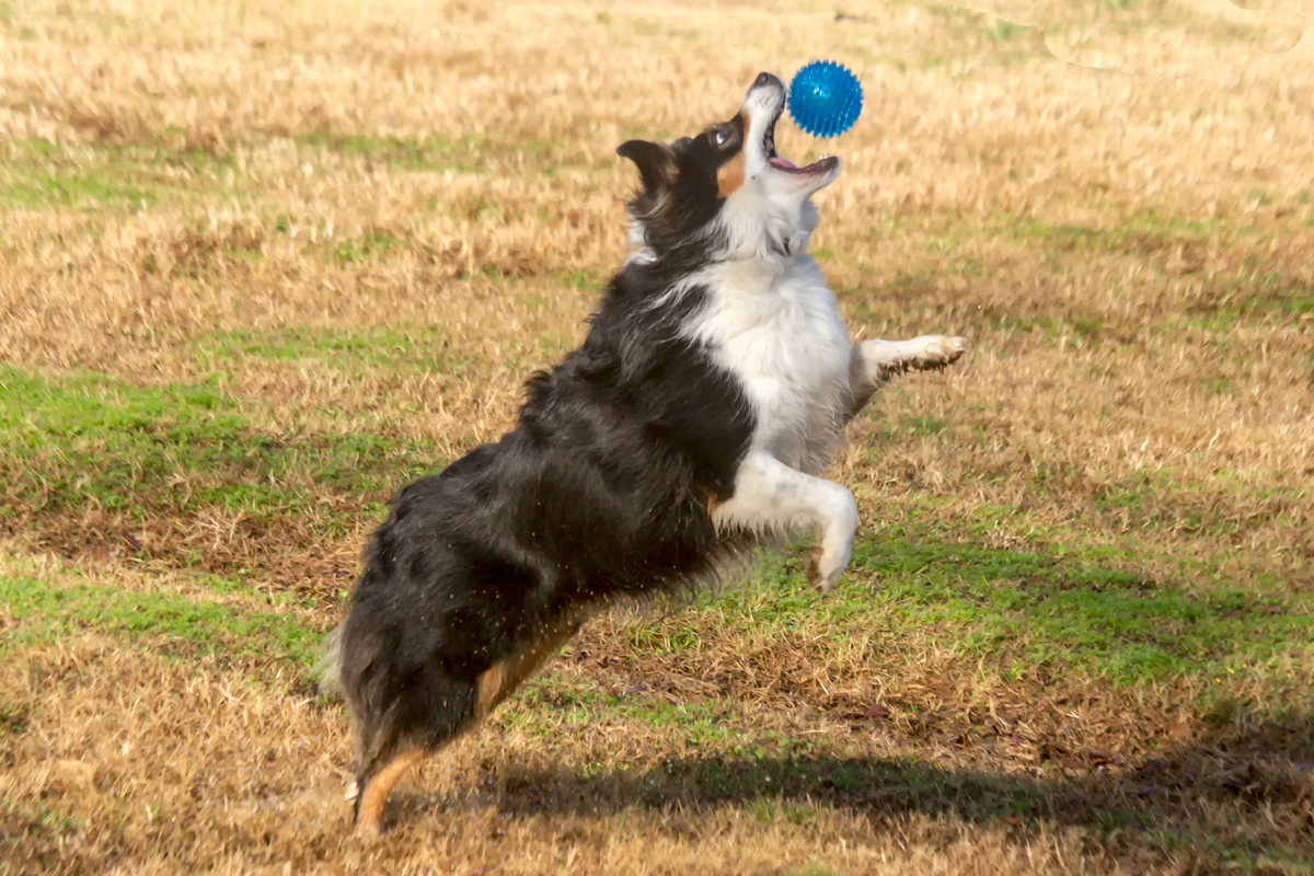 Catching the Ball