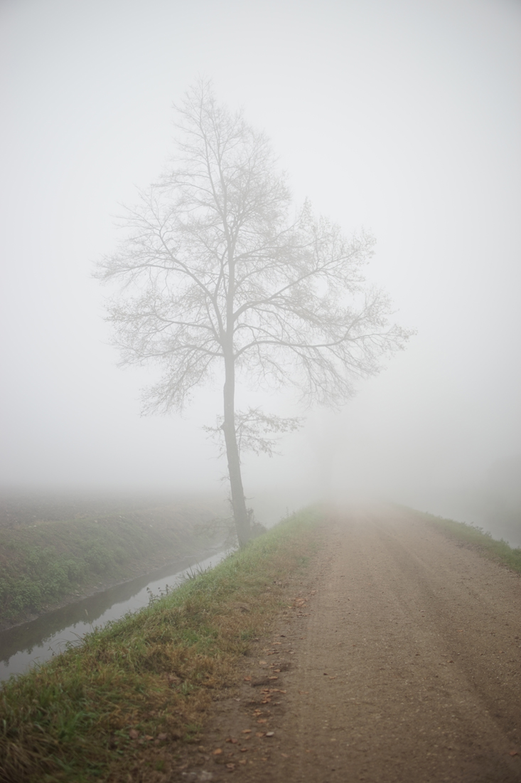 In a foggy day