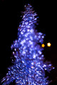 Christmas Sparkle 