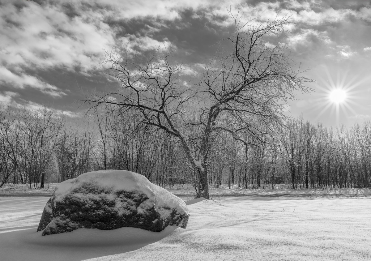 A winter morning