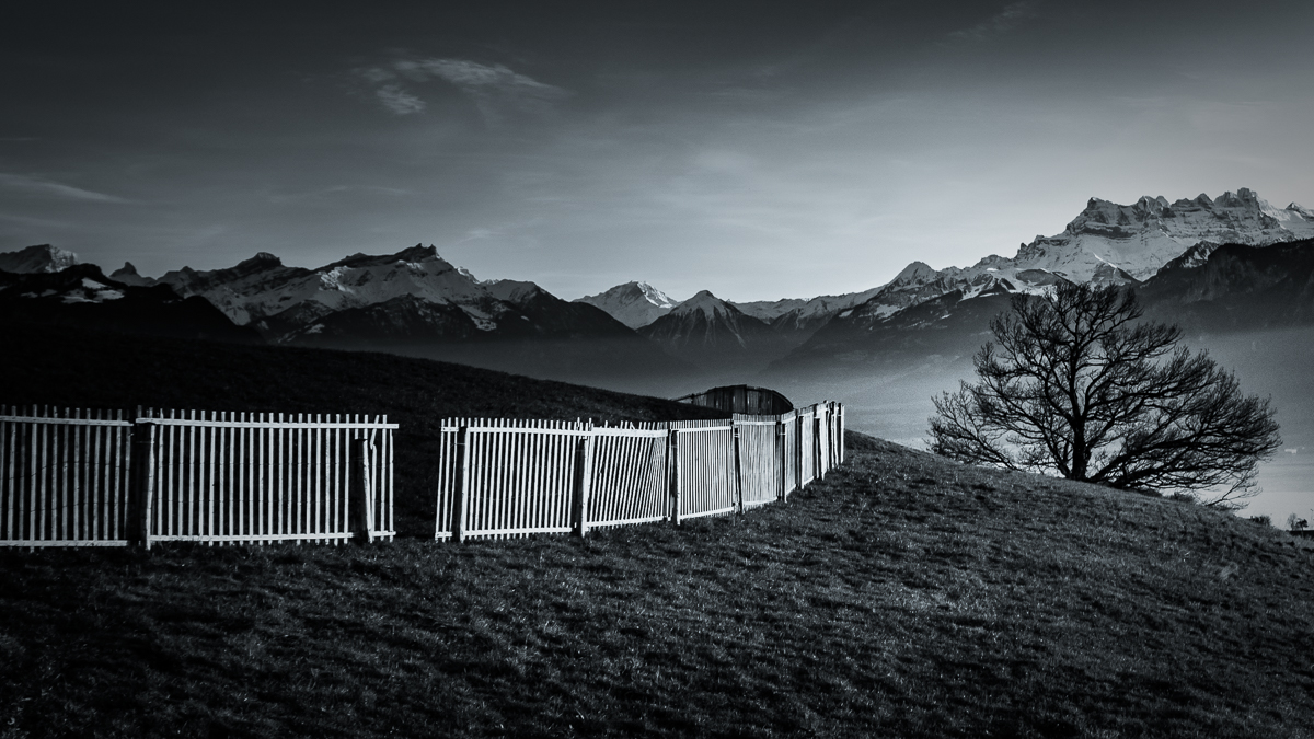 Stop building fences
