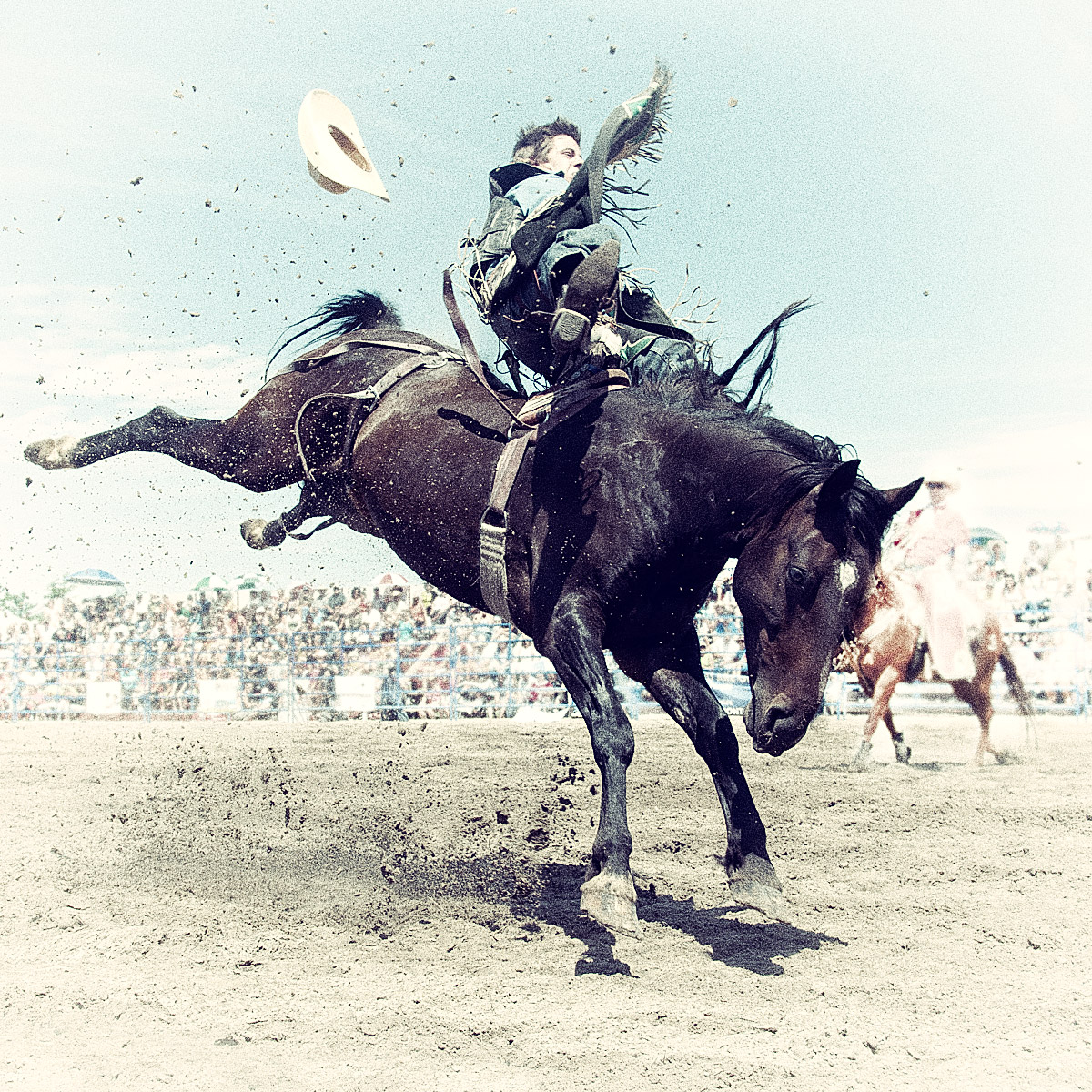 Vintage Saddle Bronc