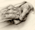92 Years