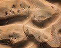 Desert Shadows