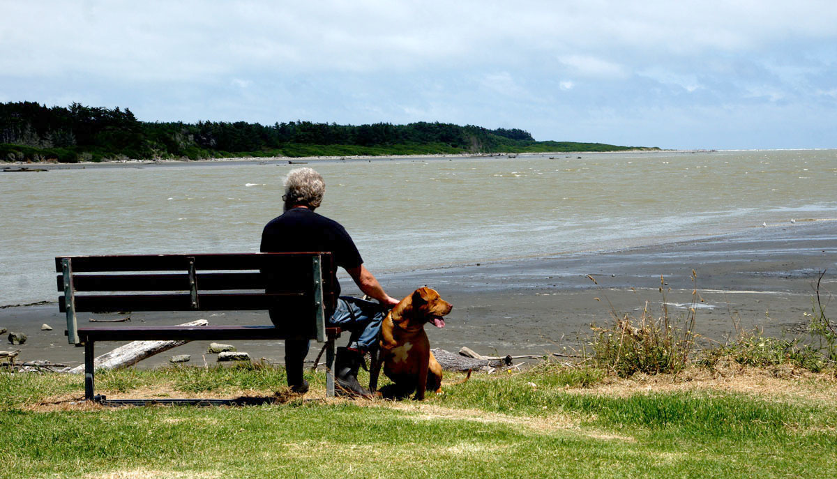 A man, his Dog, and another day in paradise